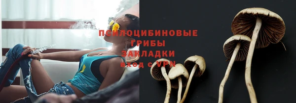 СК Алзамай