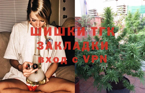 сатива Алексеевка