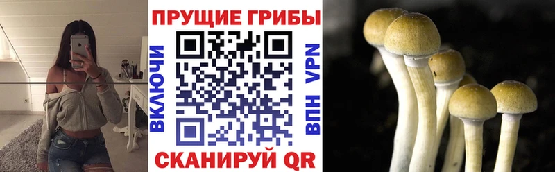 Галлюциногенные грибы ЛСД  наркота  Пыталово 